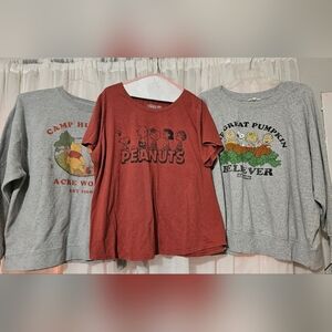 Womens Plus Size Peanuts Snoopy Winnie The Pooh bundle 1x 2x Mens Disney